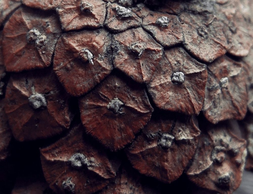 Photograph by Ольга Александрова