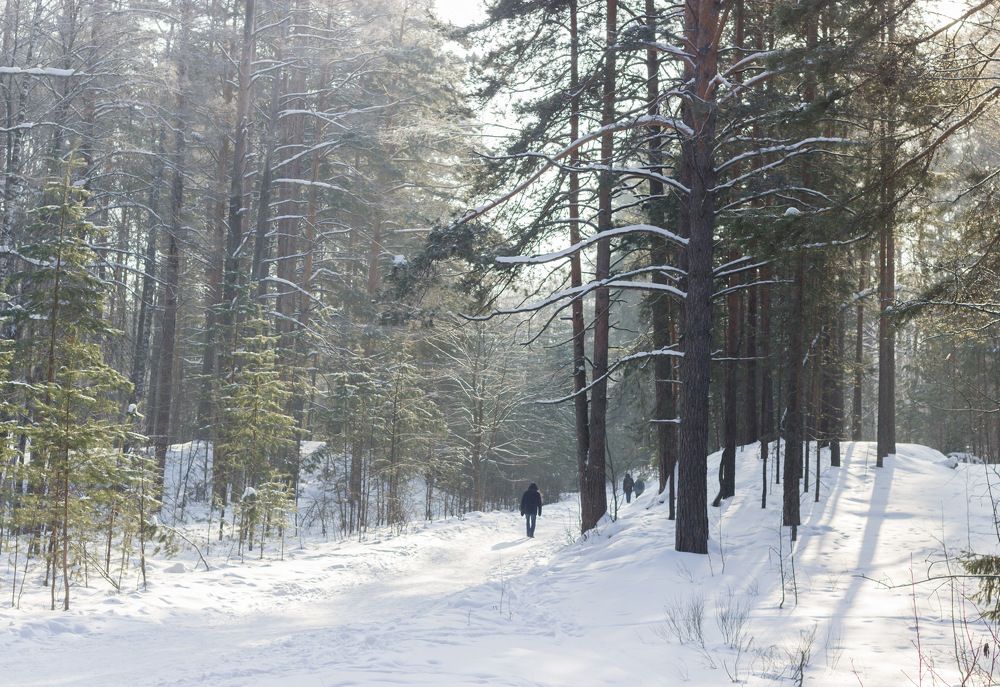 Photograph by Вячеслав