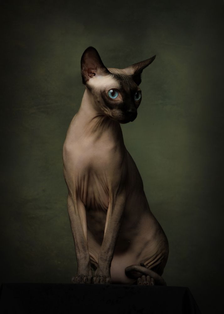 Photograph by Ольга Савельева