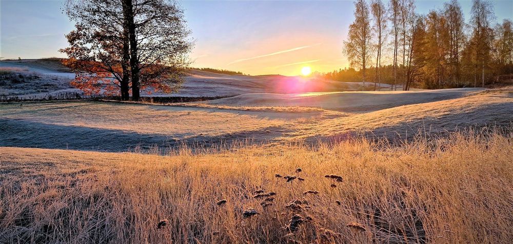 Photograph by Epp Tappel