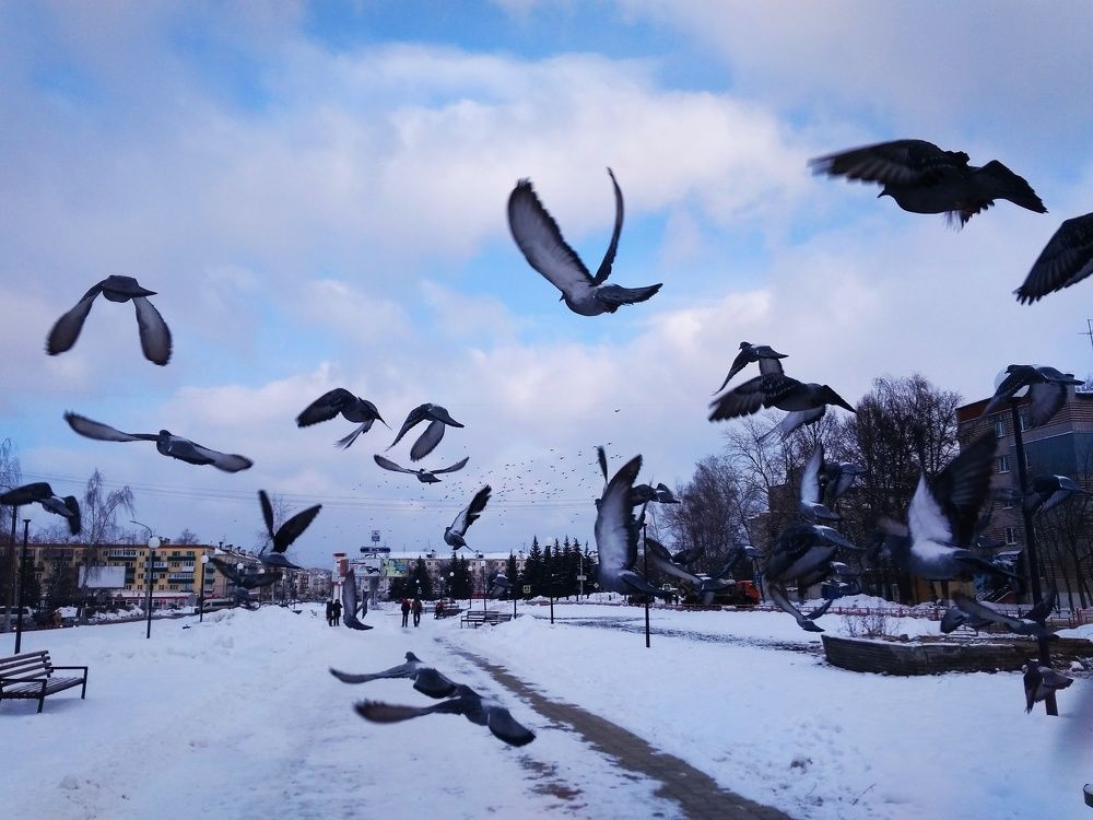 Photograph by Лилия Мустафина