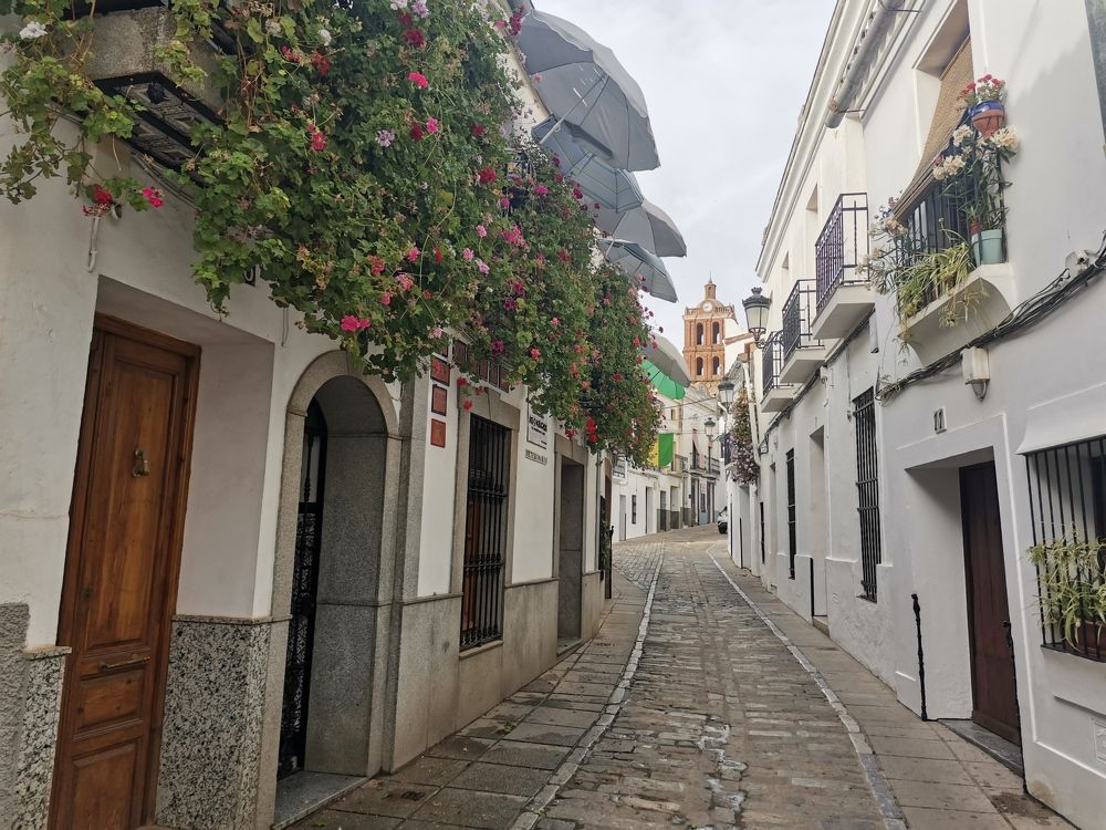 Photograph by Alexander Kramer