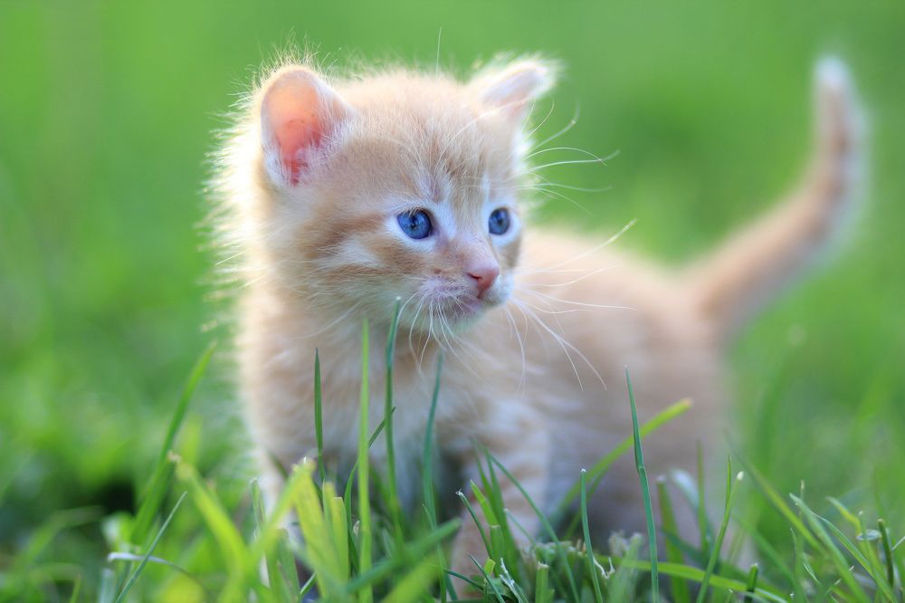 Photograph by Юлия Щетинина