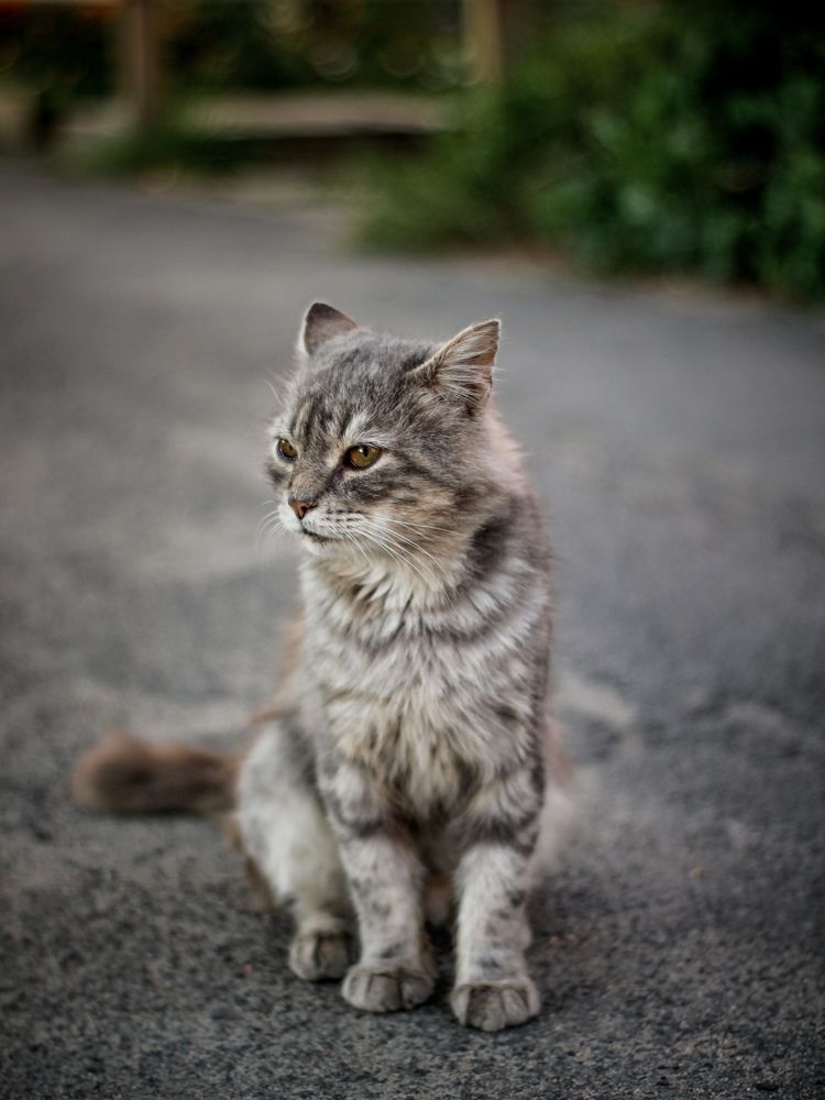 Photograph by Natalia Zhilina