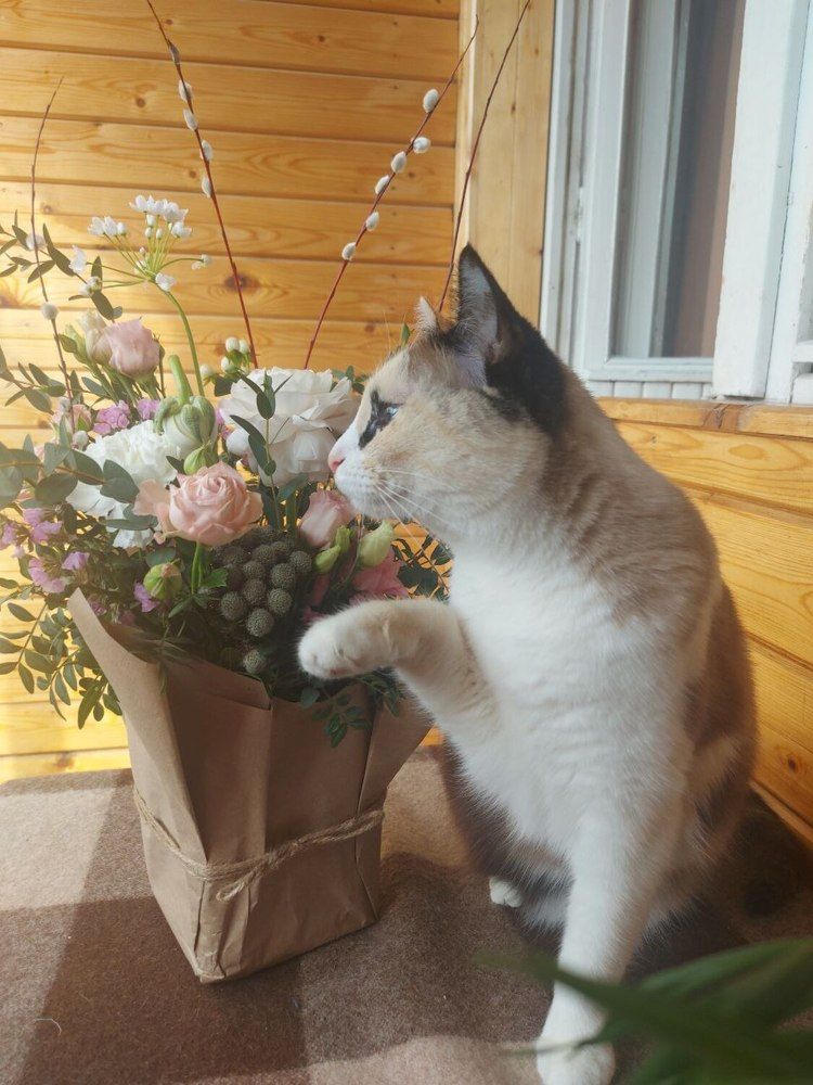 Photograph by Ольга Салюкова