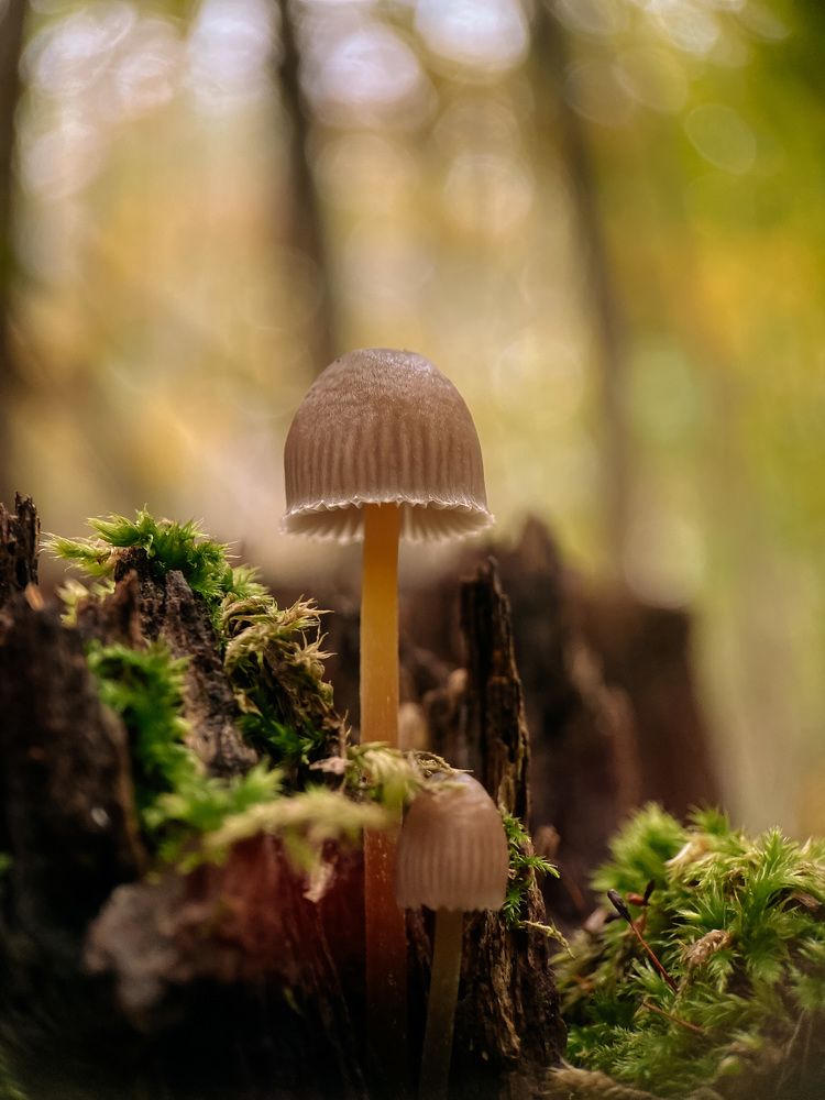 Photograph by Анна Бобкова