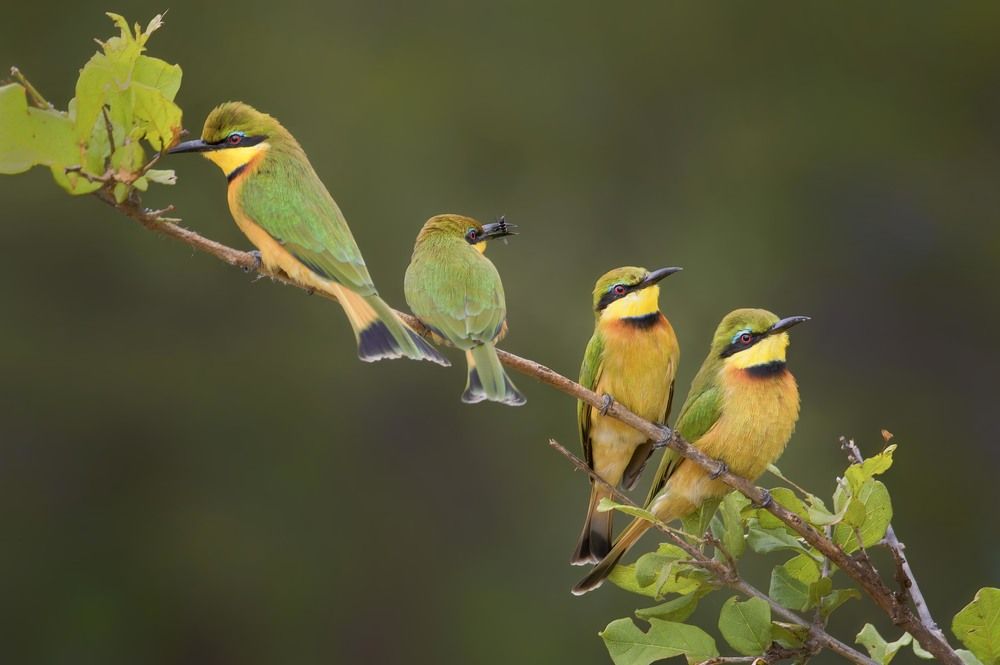 Photograph by Laima Kuriene