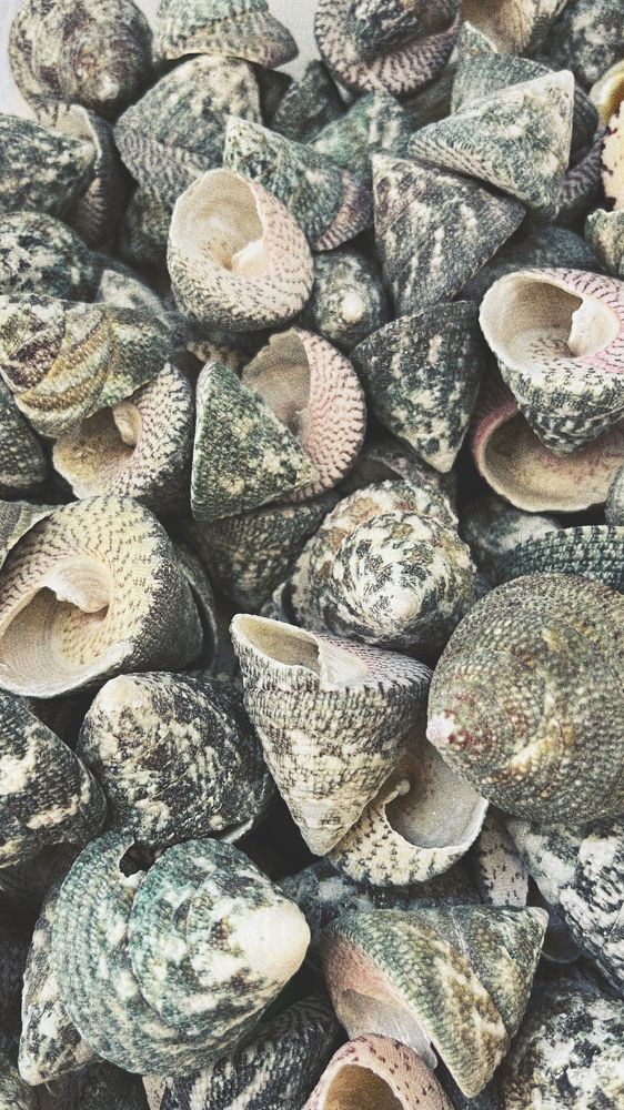 Photograph by Валентин Авдашев