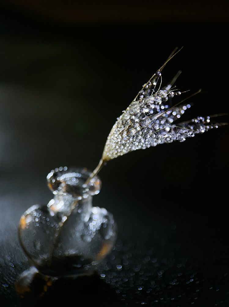 Photograph by Анна Бобкова