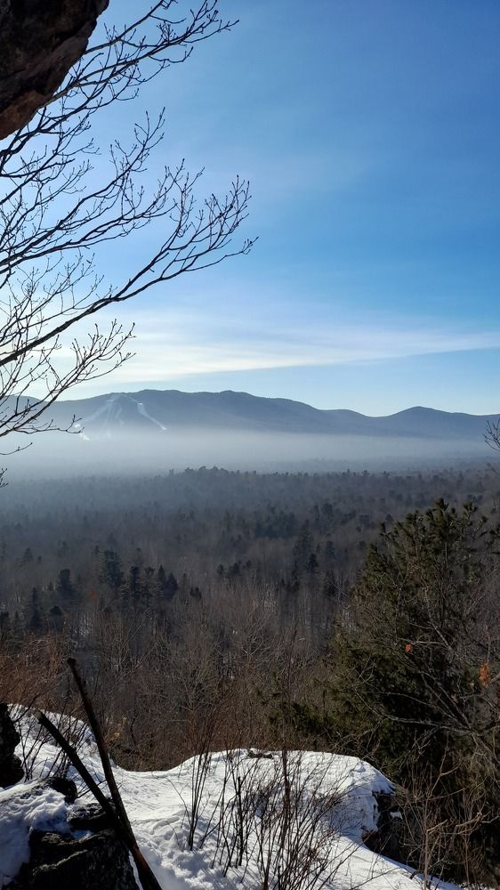 Photo #8902624