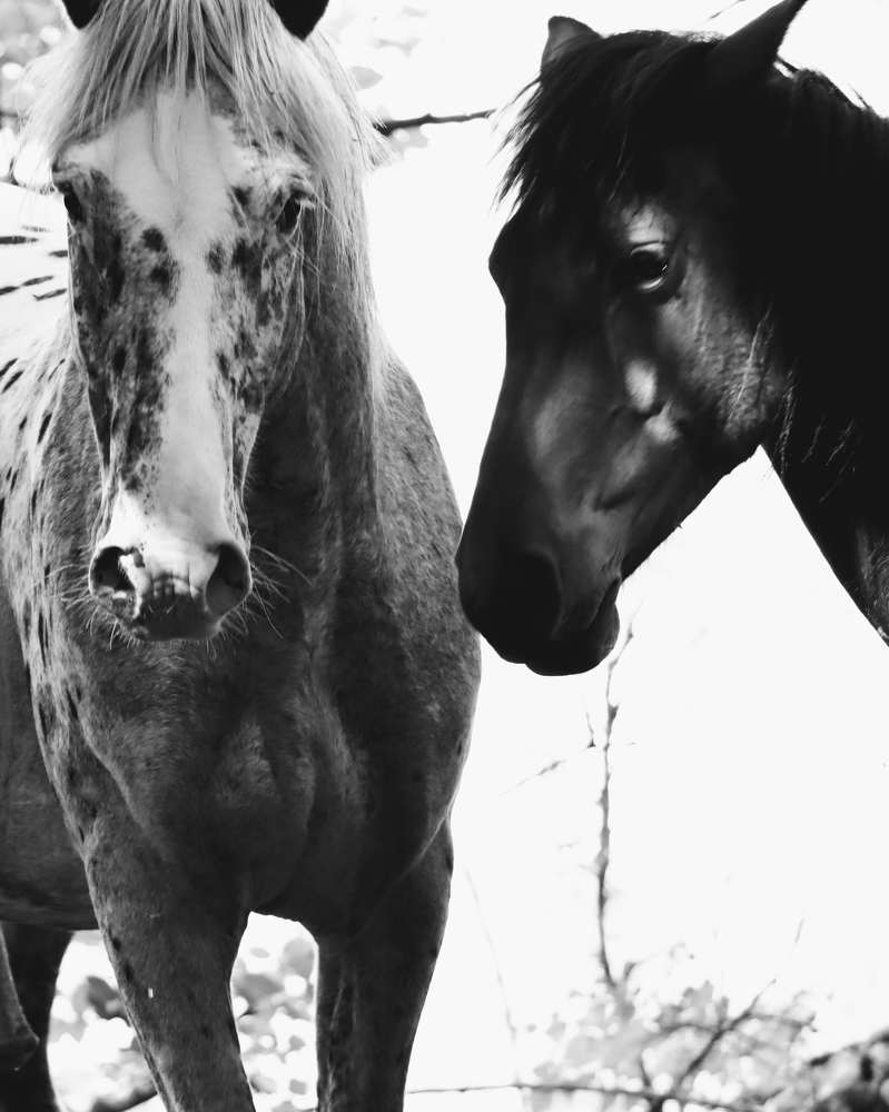 Photograph by Giuseppe Catalano