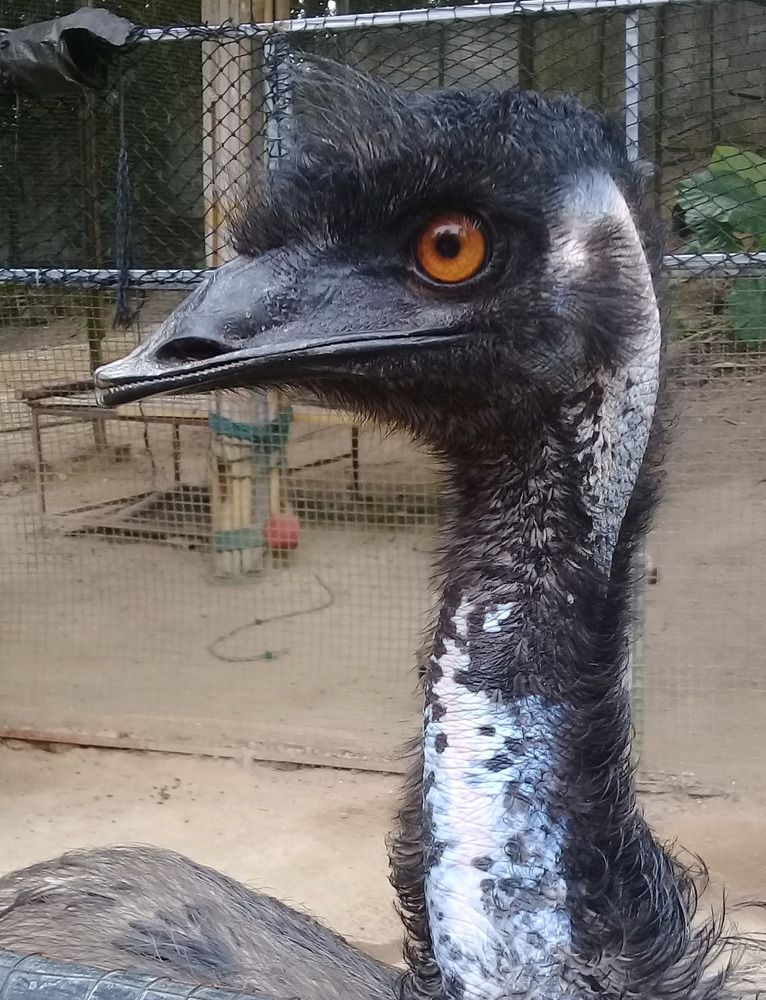 Photograph by Худякова Светлана Викторовна