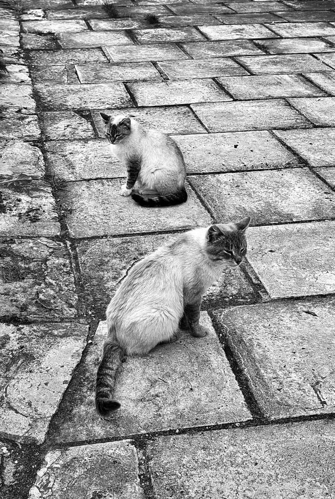 Photograph by Ольга Олейник