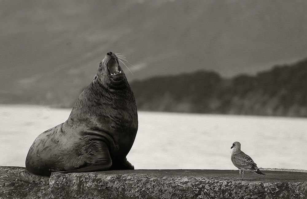 Photograph by Виктор Смирнов