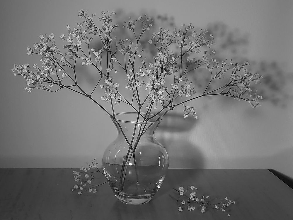 Зимний букет