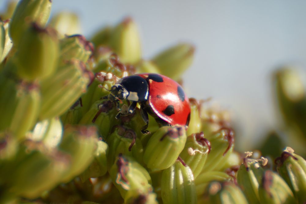 Photograph by Анастасия Рубан