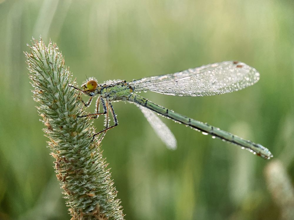 Photograph by Анна Бобкова