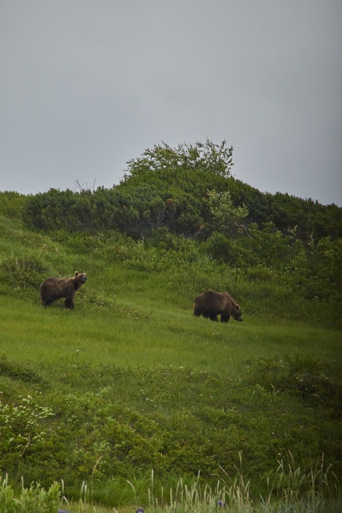 Photograph by Анастасия Рубан