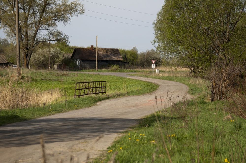 Photograph by Дмитрий Жуков