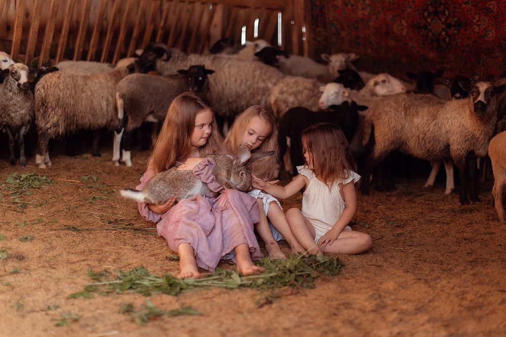 Фотография автора Войналович Анастасия