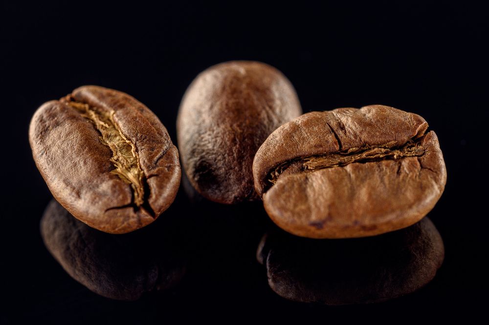 Photograph by Raisa Belova