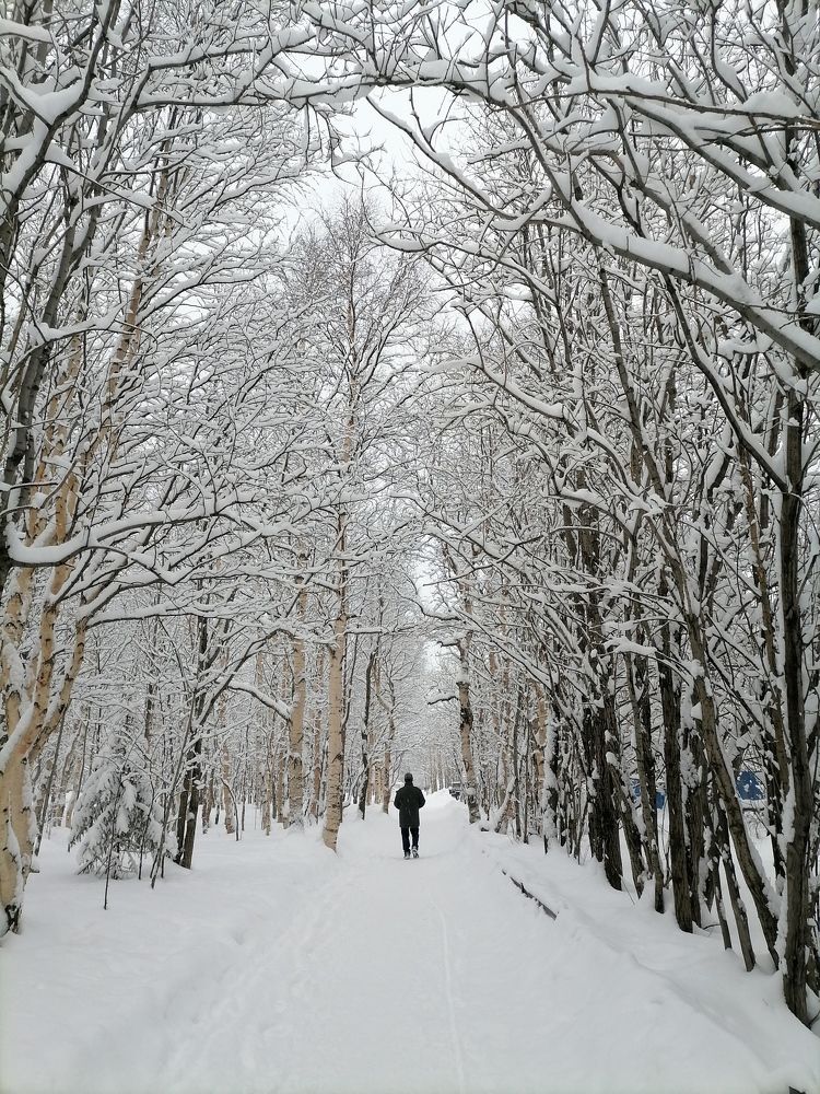 Photograph by Артём Коваль