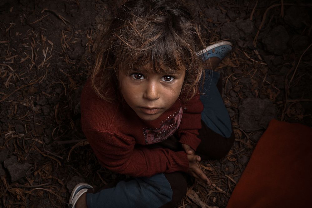 Photograph by  Shady