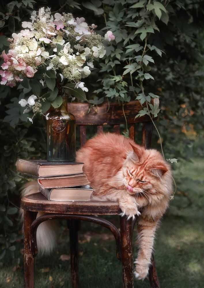 Вечер летнего дня