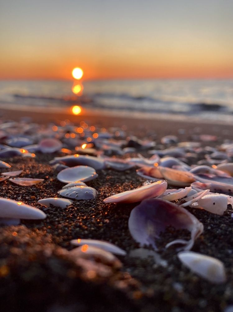 Photograph by Vera Burova