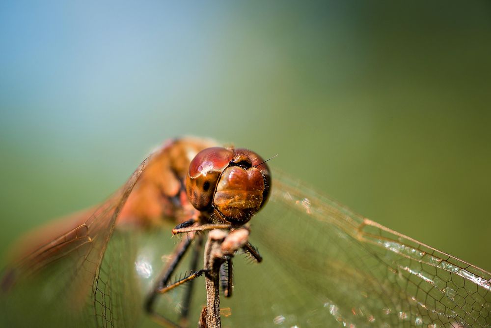 Photograph by Юрий Яковлевич