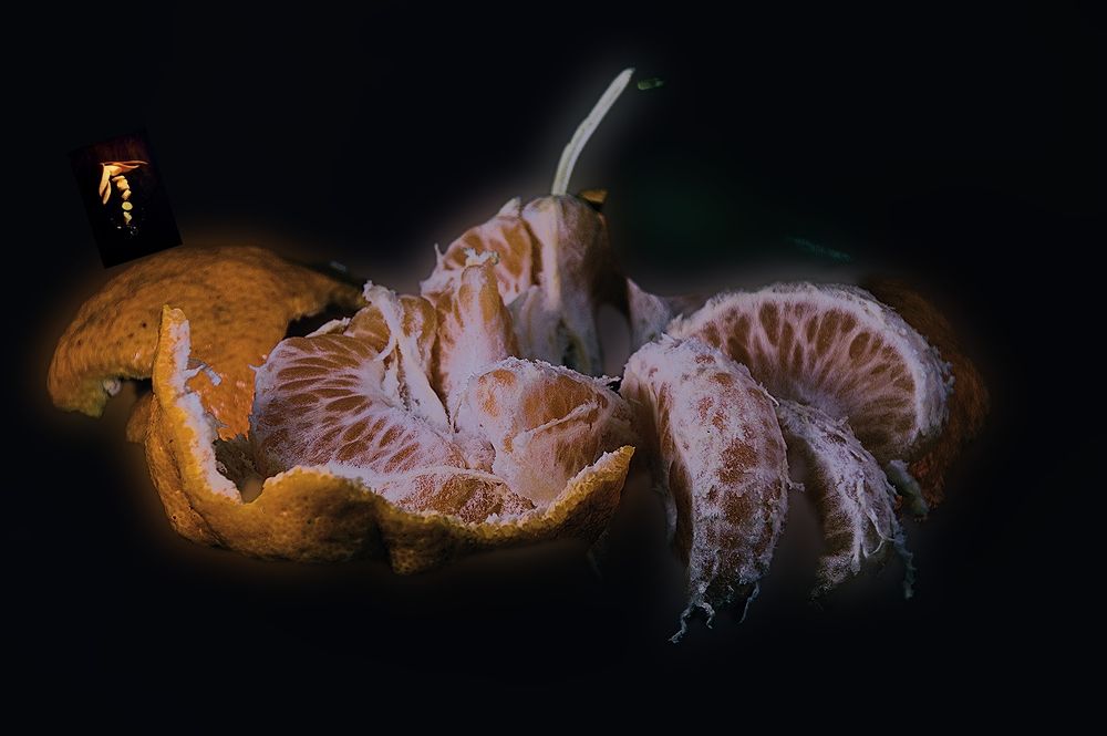 Photograph by Photo Ninenine