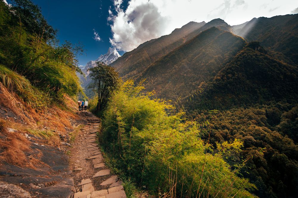 Photograph by Tomislav Safundžić