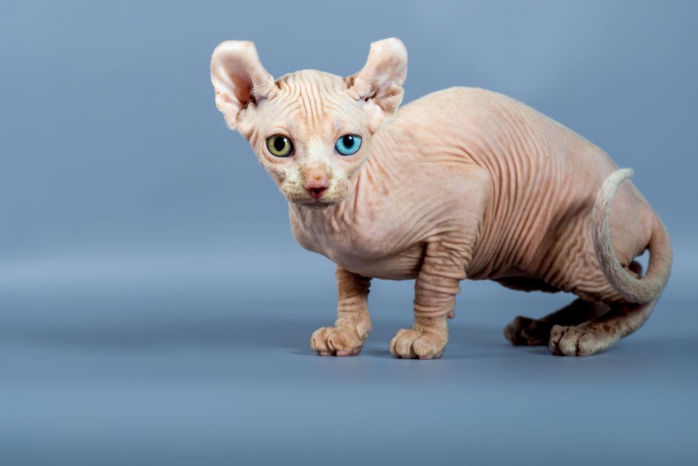 Photograph by Татьяна Ларина