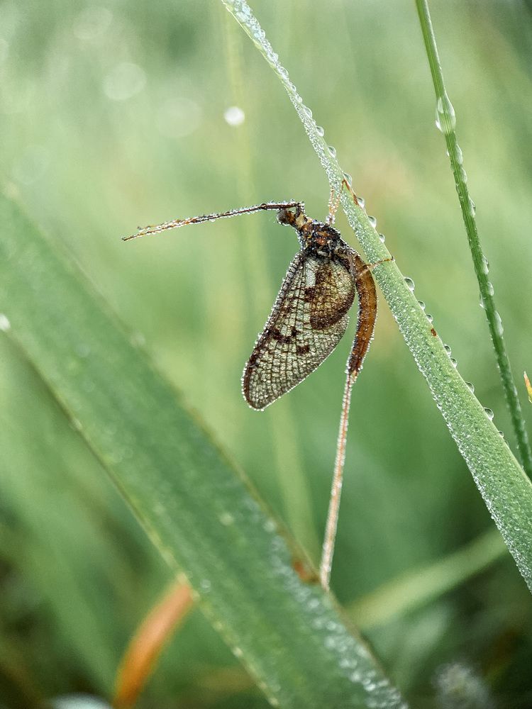 Photograph by Анна Бобкова