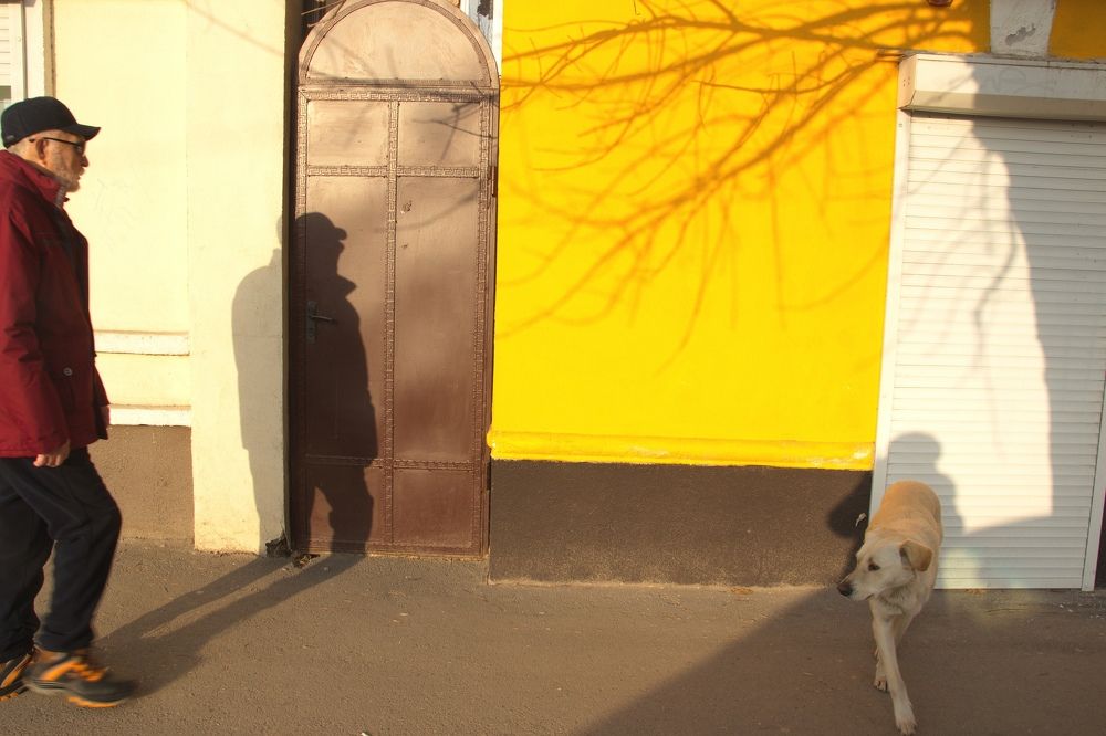 Photograph by Марина