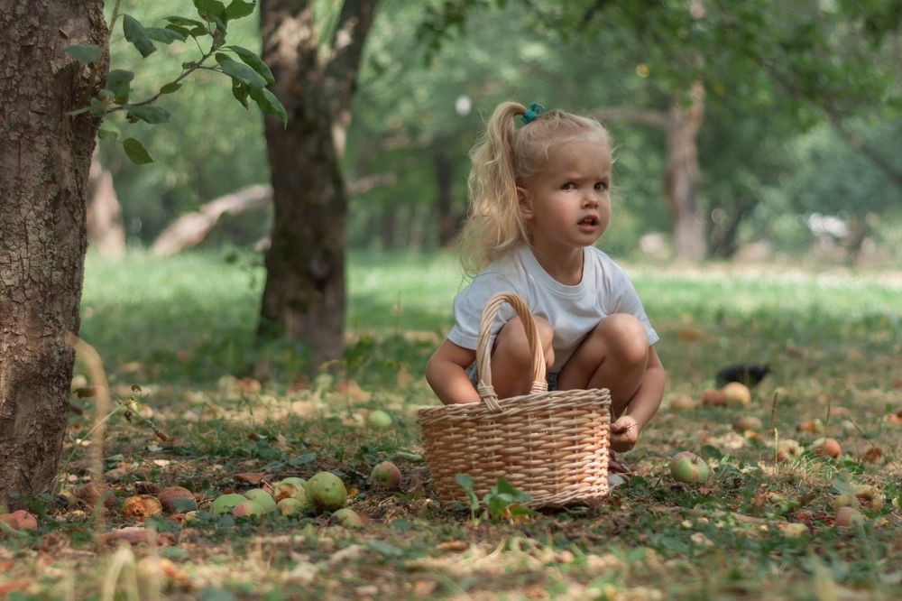 Фотография автора Александра Белова