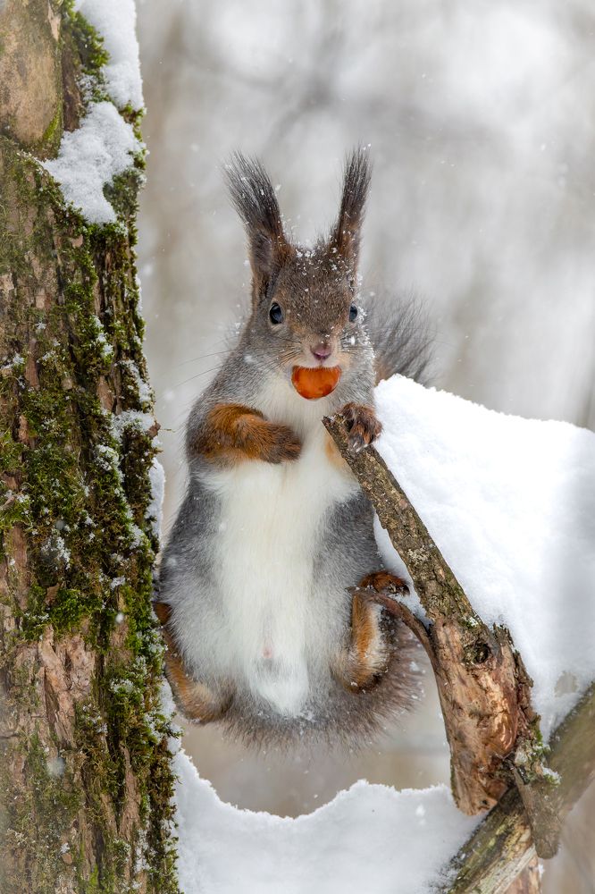 Photograph by Антон Науменко