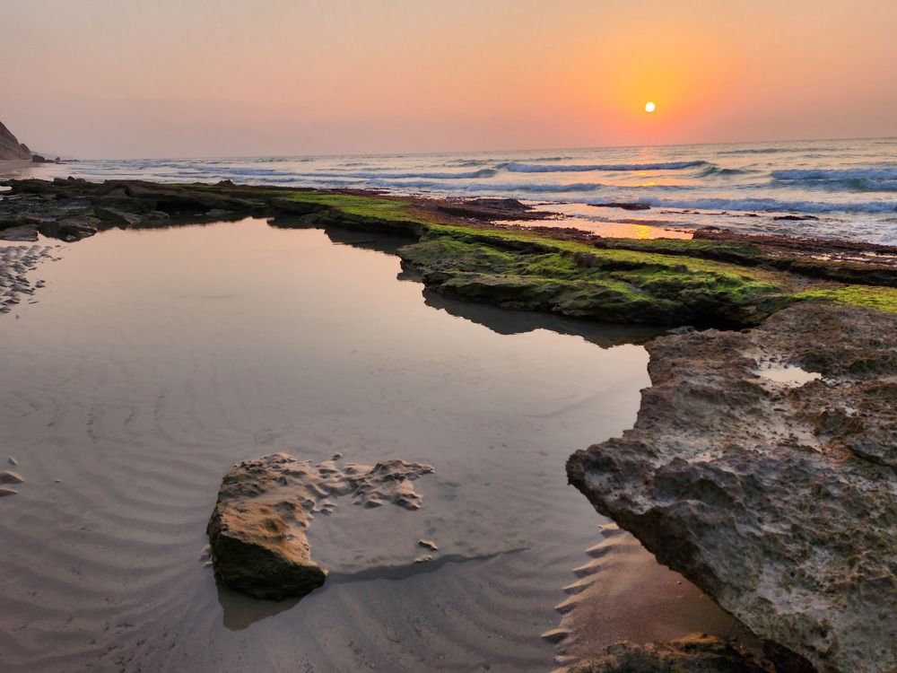 Photograph by Muli Nehama