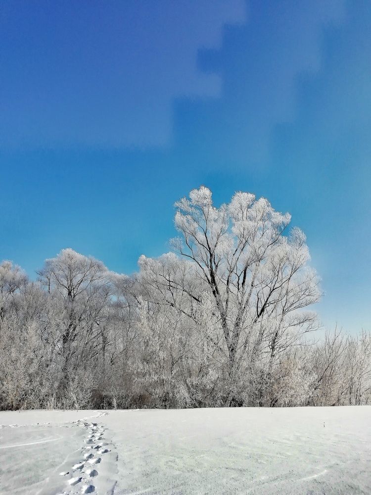 Photograph by Рината Загидуллина