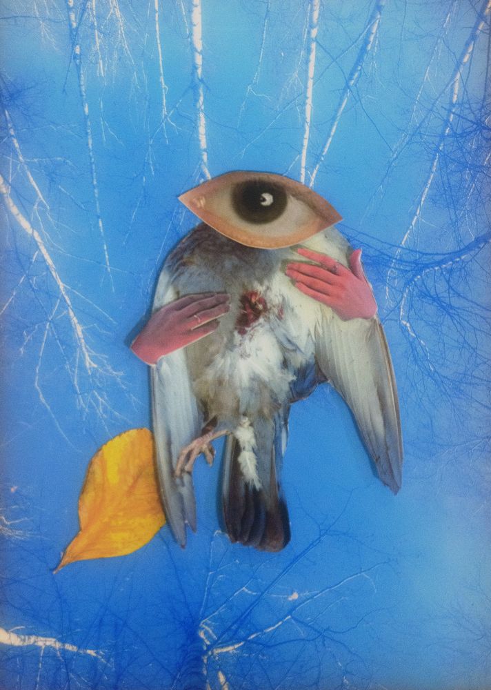 Фотография автора Дарья Дар