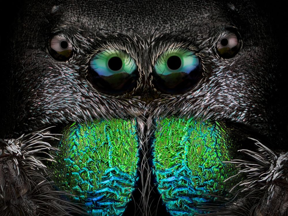 Photograph by Ireneusz Irass Walędzik