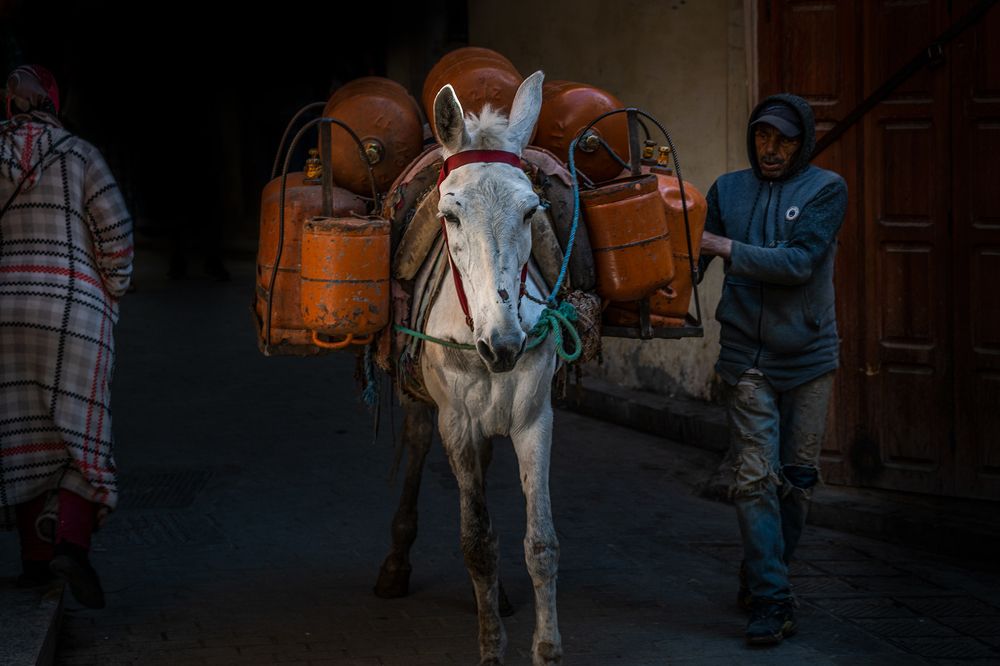Фотография автора Александър Александров