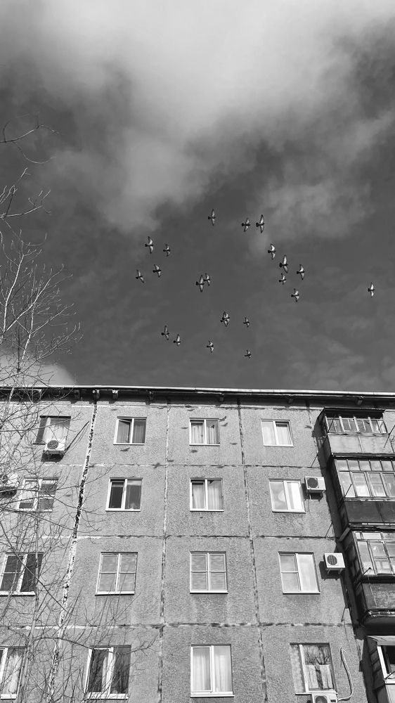 Фотография автора Анна Роганова