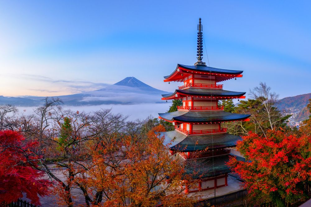 Photograph by Phùng Minh Long