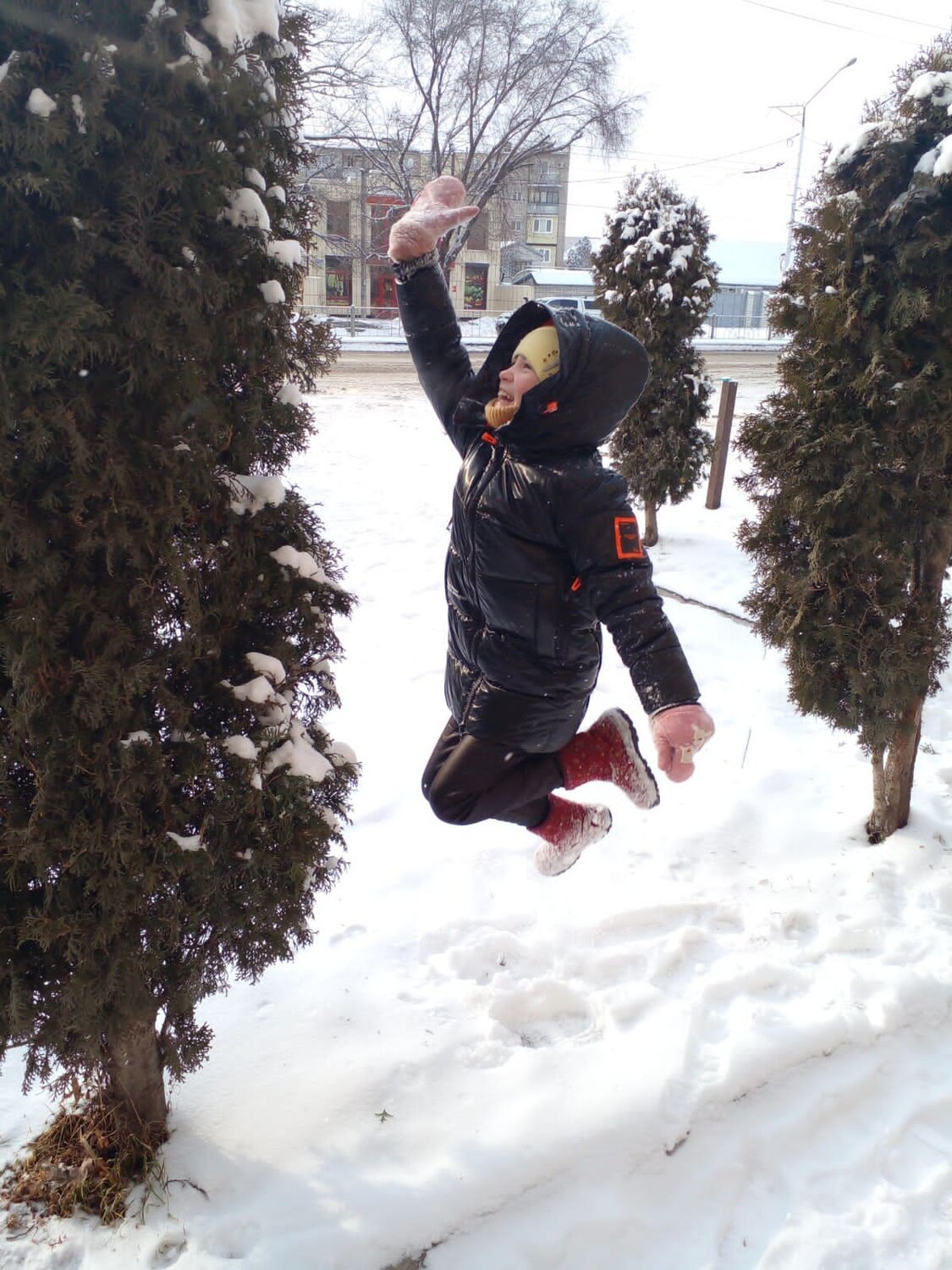Photo #8903359