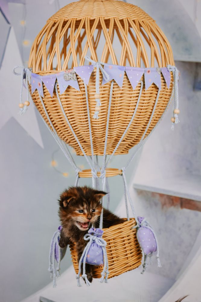 Photograph by Стрижаченко Инга