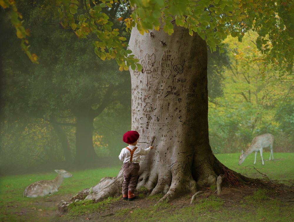 Photograph by Georgina Bolton King