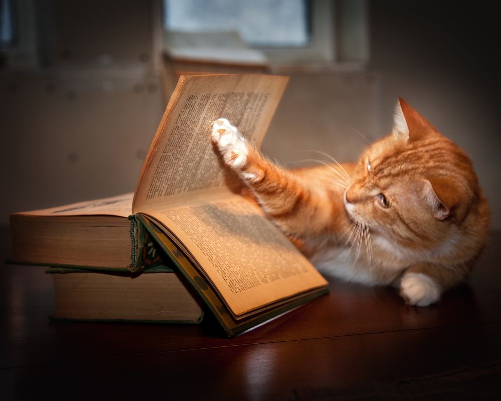 Photograph by Наталья Суслова