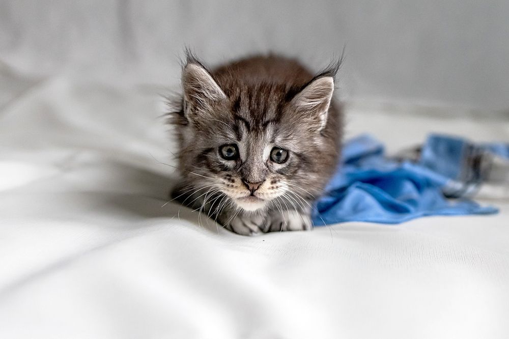 Photograph by Наталья Кузьмина