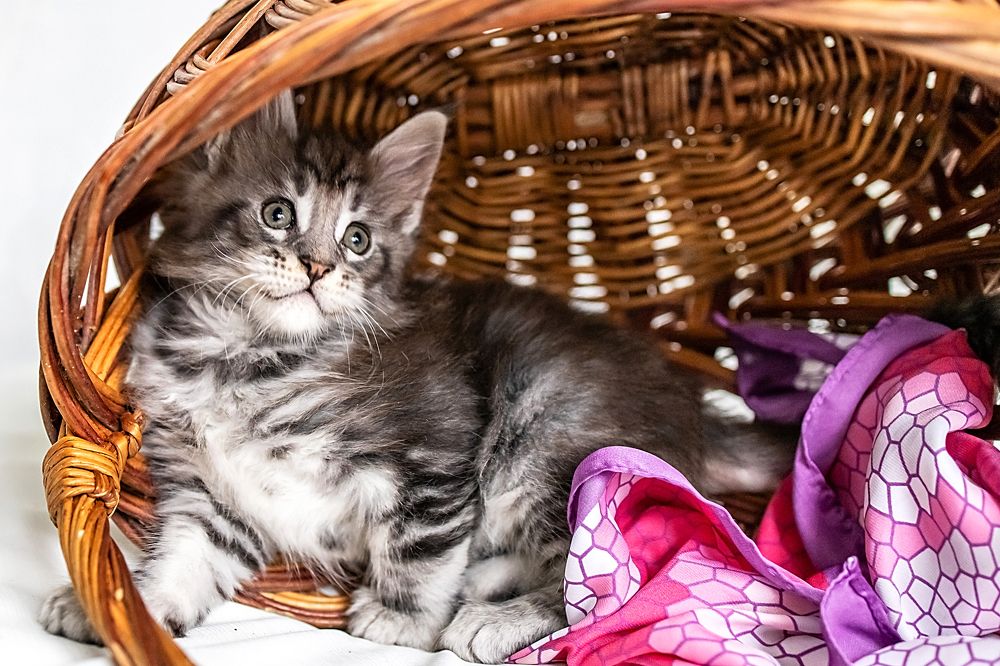 Photograph by Наталья Кузьмина